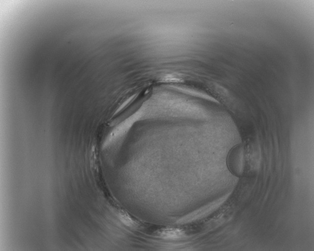 X0000066960322200604072011