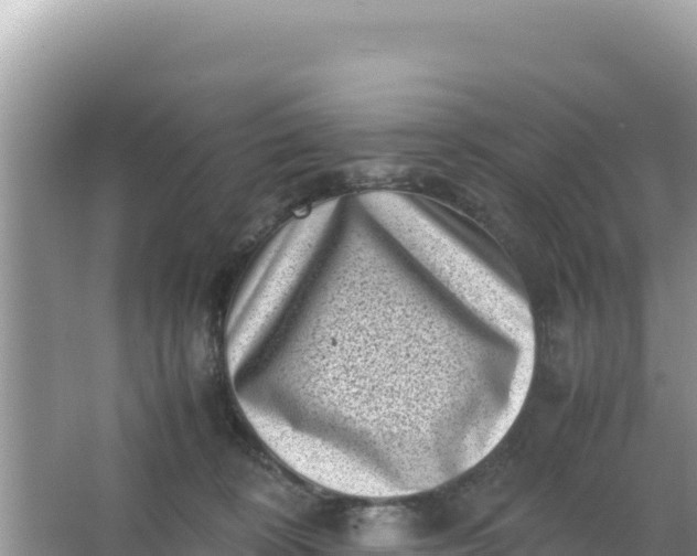 X0000066960324200604072011