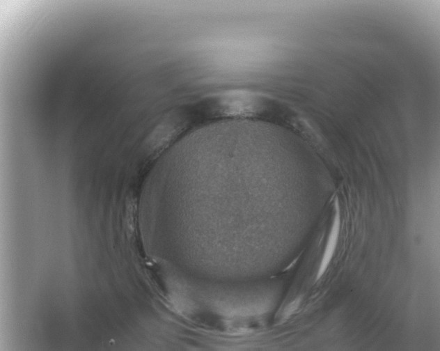 X0000066960325200604072011