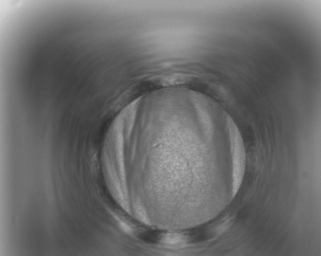 X0000066960327200604072011