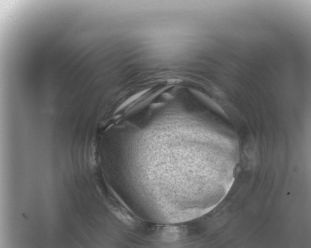 X0000066960330200604072011