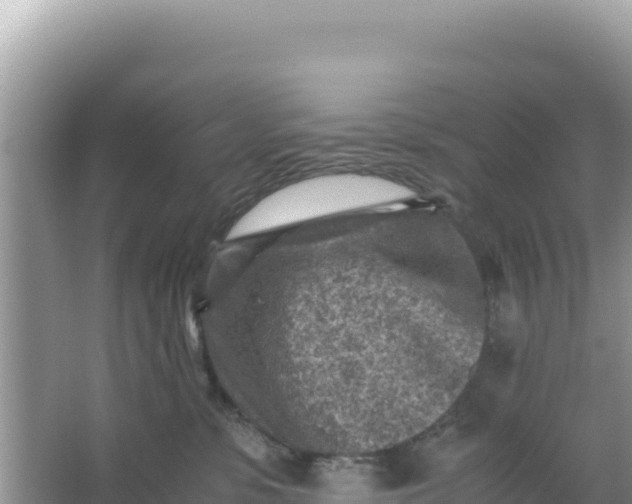 X0000066960331200604072011