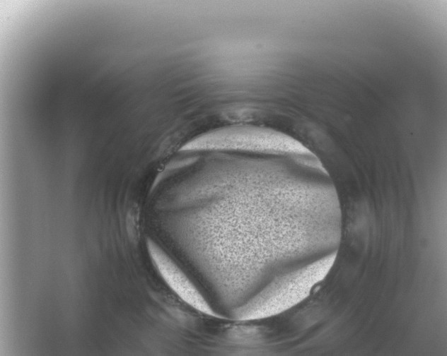 X0000066960332200604072011