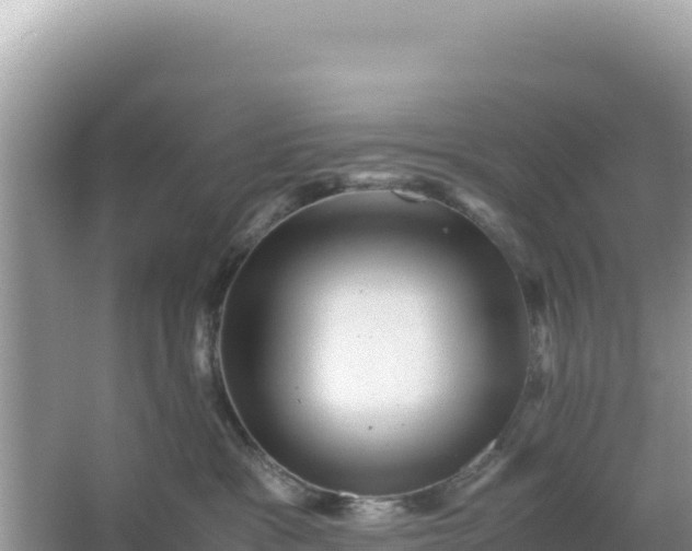 X0000066960333200604072011