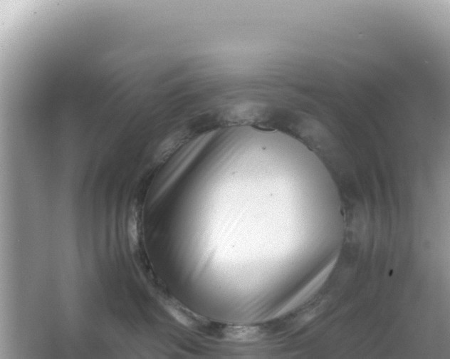 X0000066960334200604072011