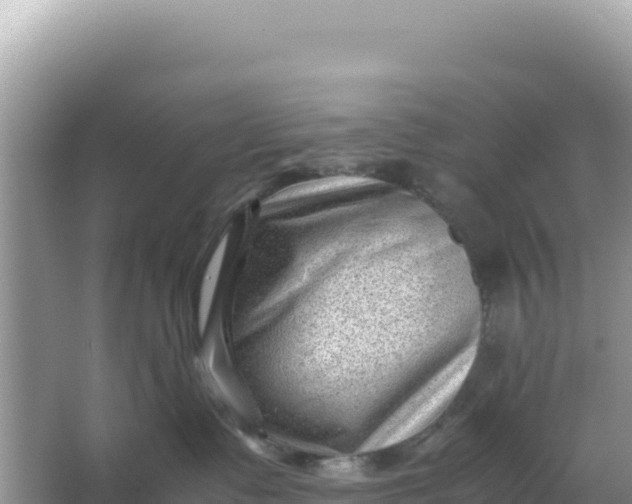 X0000066960335200604072011