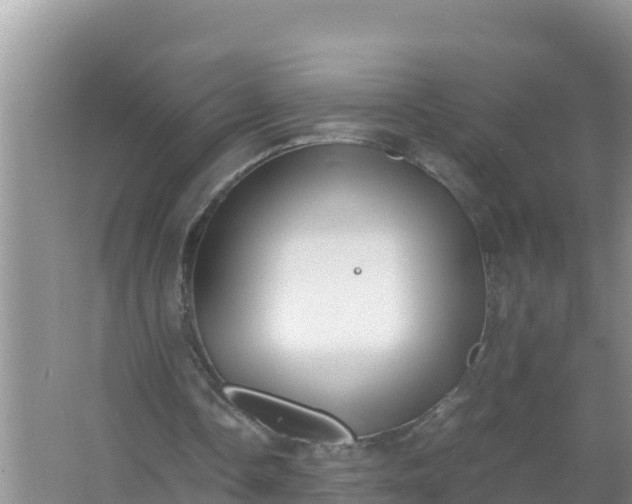 X0000066960338200604072010