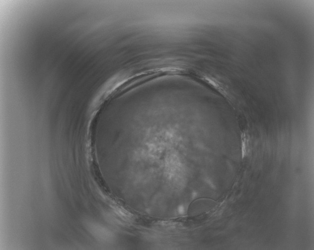 X0000066960339200604072010