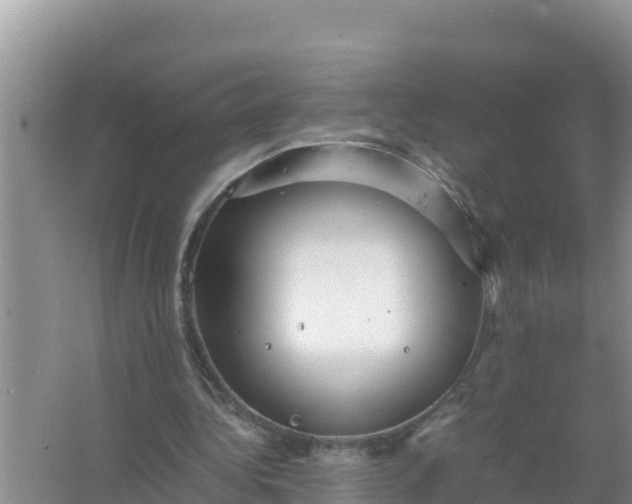 X0000066960340200604072010