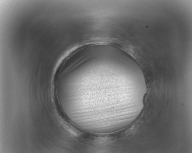 X0000066960342200604072010