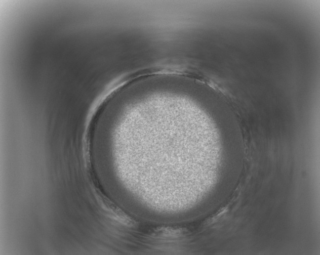 X0000066960343200604072010