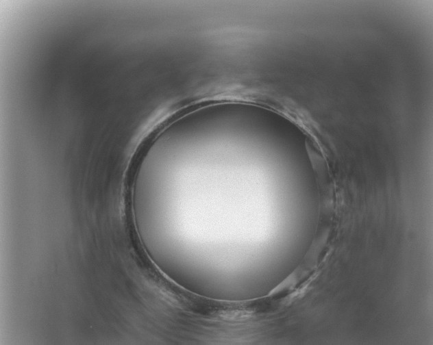 X0000066960344200604072010