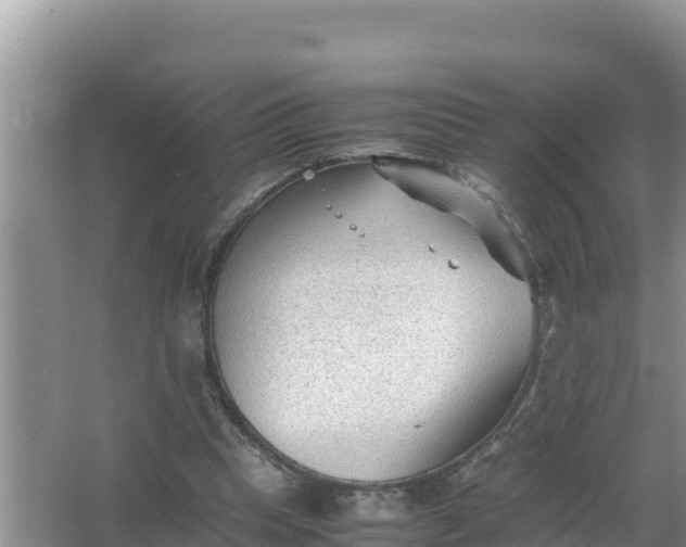 X0000066960345200604072010