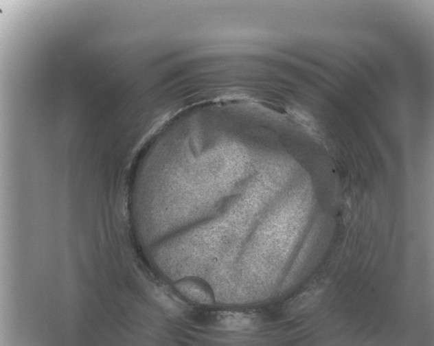 X0000066960347200604072010