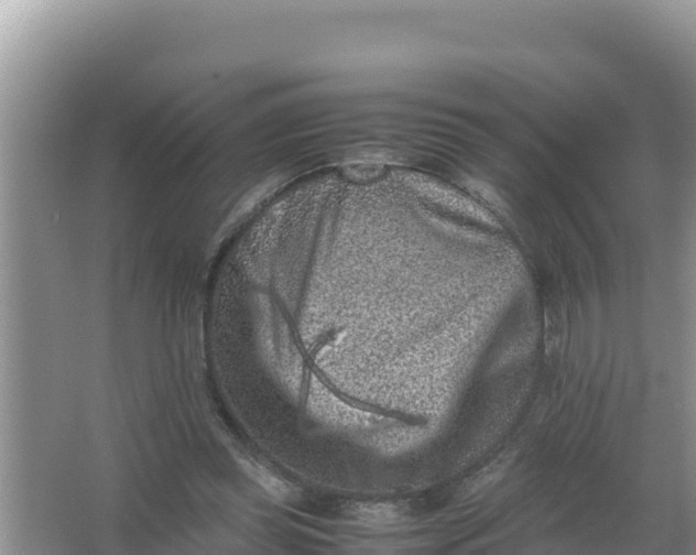 X0000066960349200604072010