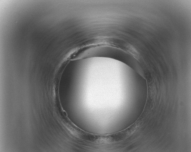 X0000066960350200604072010