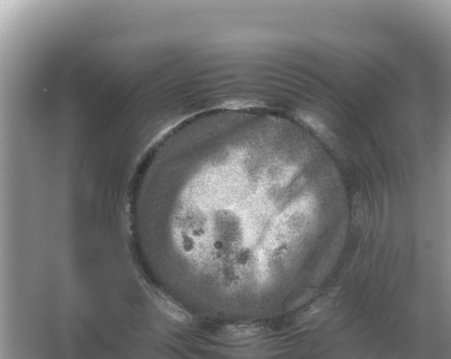 X0000066960351200604072010