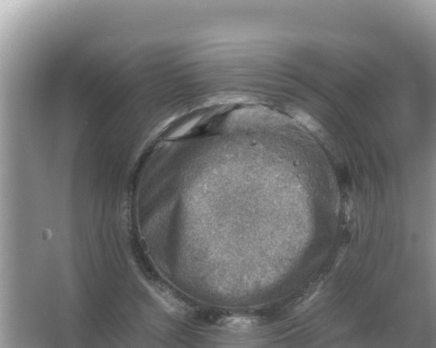 X0000066960352200604072010