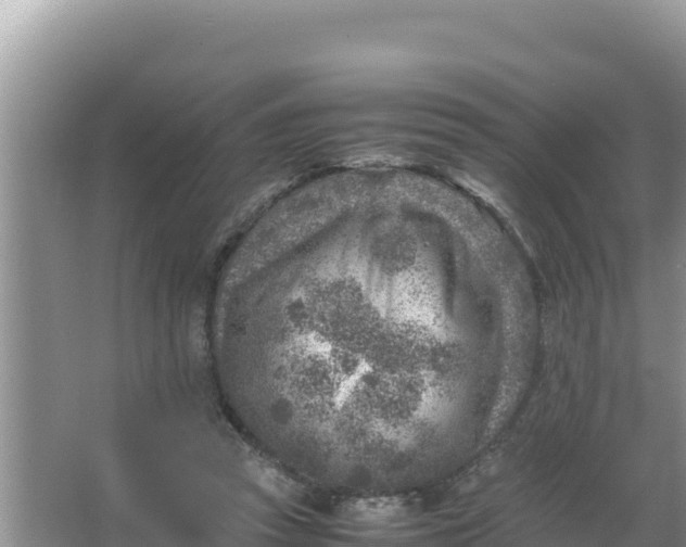 X0000066960353200604072010