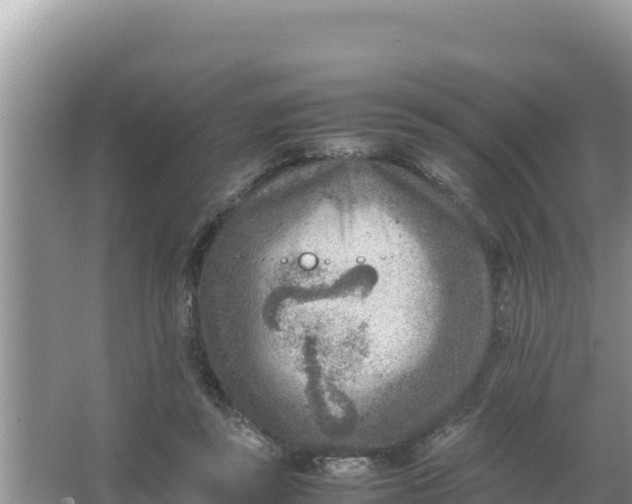 X0000066960355200604072010