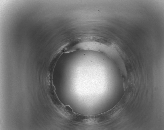 X0000066960356200604072010