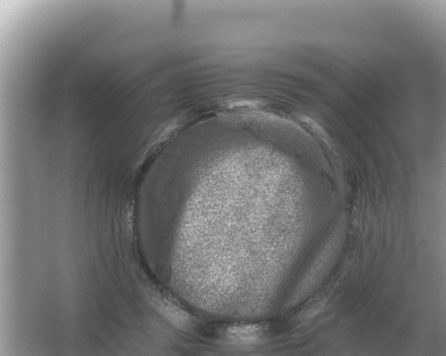 X0000066960357200604072010