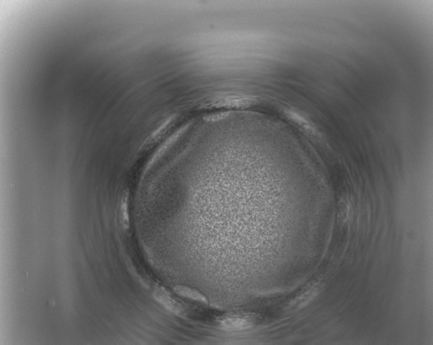 X0000066960358200604072010