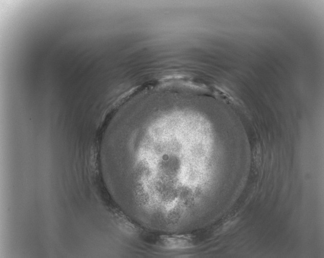 X0000066960359200604072010