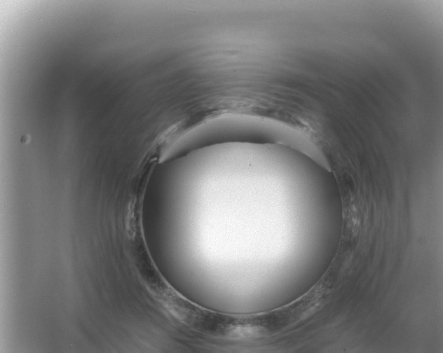 X0000066960360200604072010