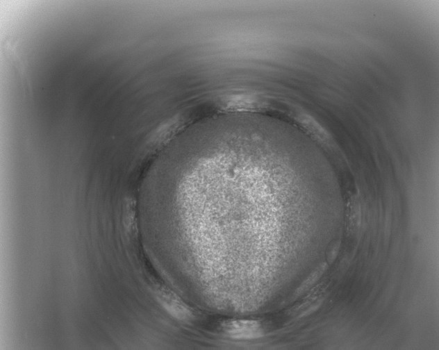 X0000066960361200604072010