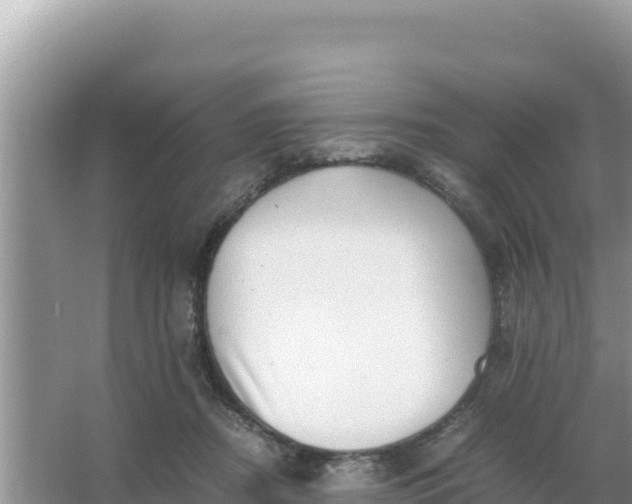 X0000066960362200604072010