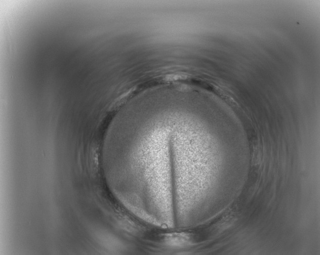 X0000066960363200604072010