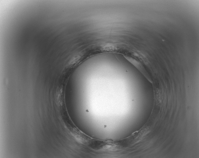 X0000066960364200604072010