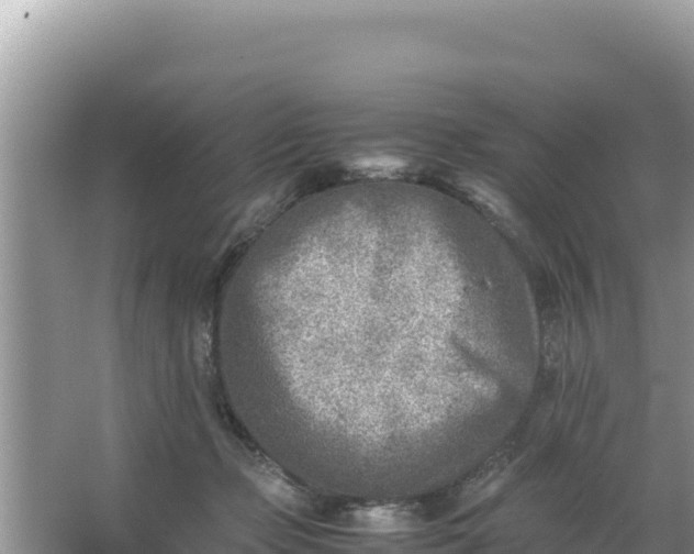 X0000066960365200604072010