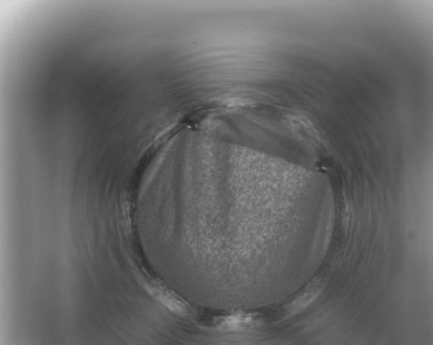 X0000066960366200604072010