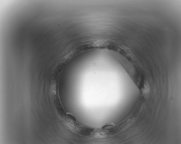 X0000066960368200604072010