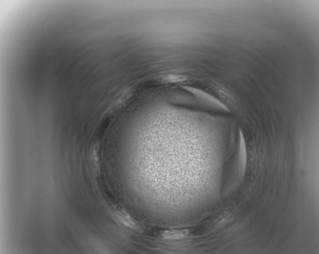 X0000066960373200604072010