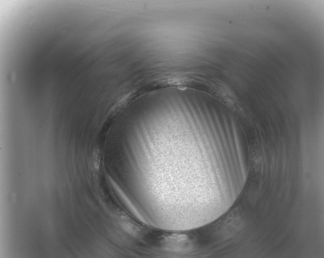 X0000066960374200604072010