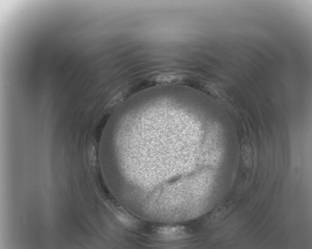 X0000066960375200604072010