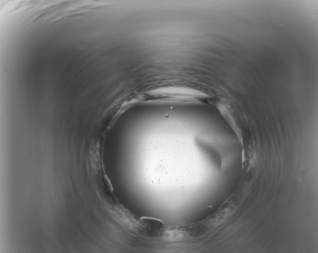 X0000066960376200604072011