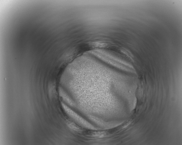 X0000066960377200604072011