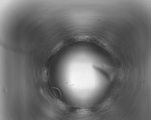 X0000066960378200604072011