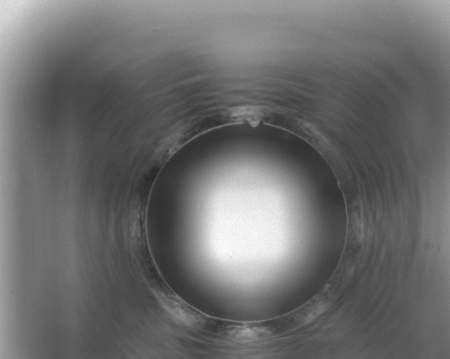 X0000066960379200604072011