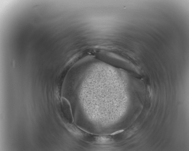 X0000066960380200604072011