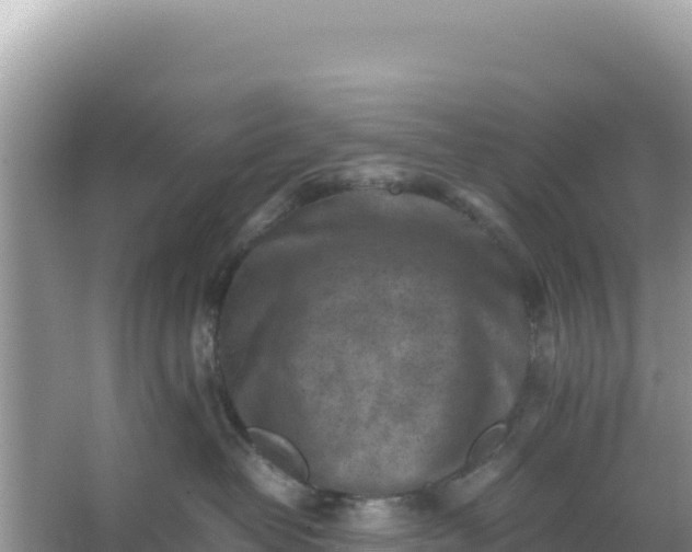 X0000066960382200604072011