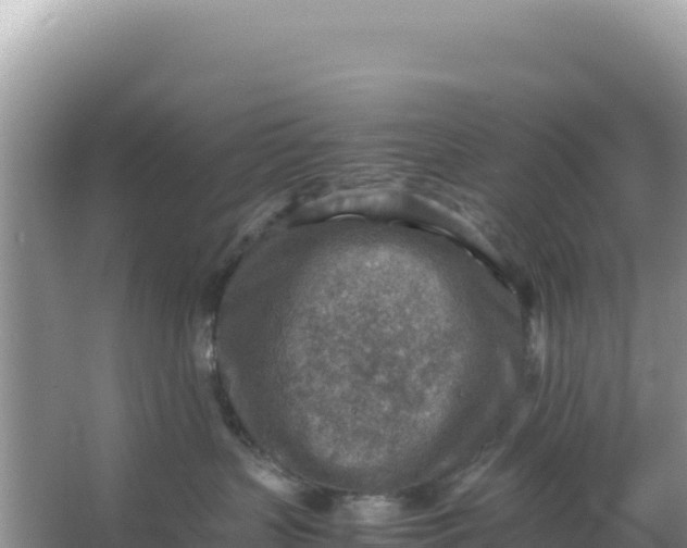 X0000066960383200604072011