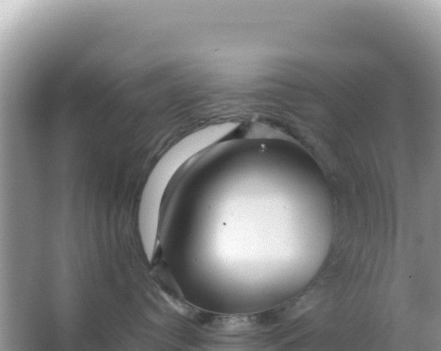 X0000066960384200604072011