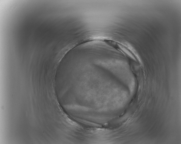 X0000066960385200604072010