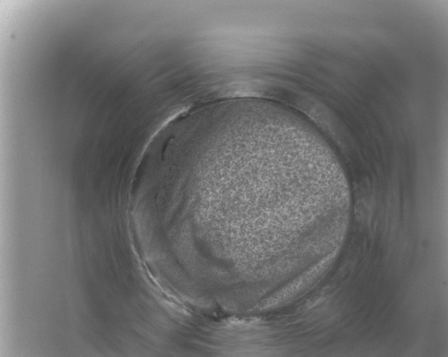 X0000066960386200604072010