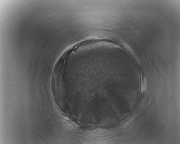 X0000066960387200604072010